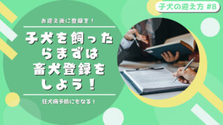 畜犬登録