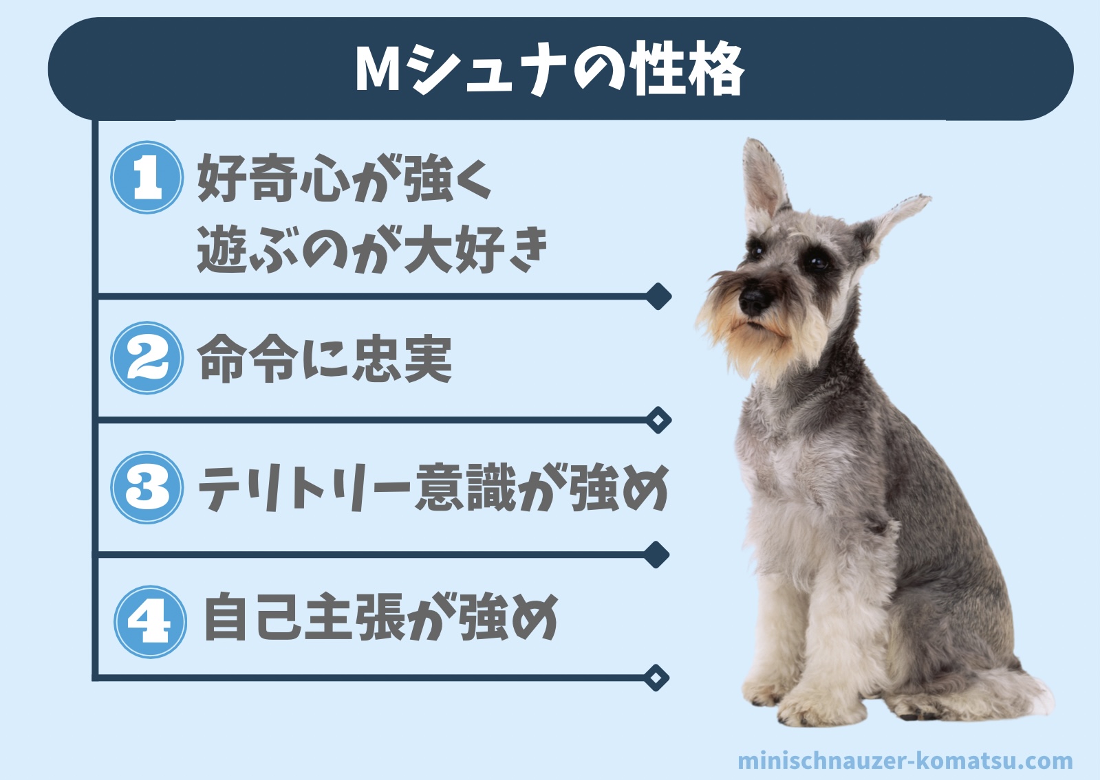 ミニチュアシュナウザーの性格