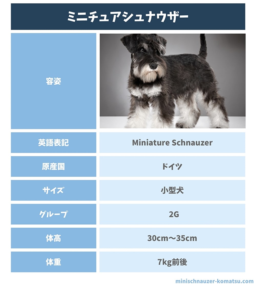 ミニチュアシュナウザーの概要